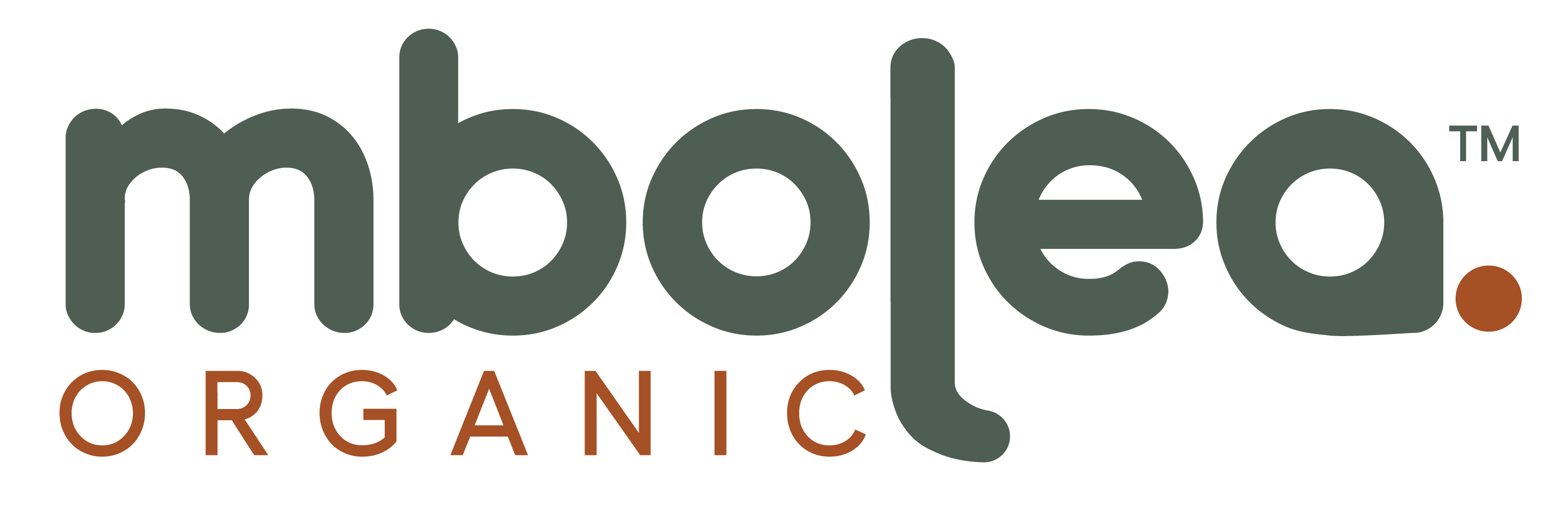 Home 11 mbolea logo